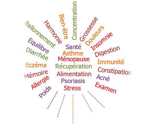 Naturopathe au service des entreprises à Rumilly